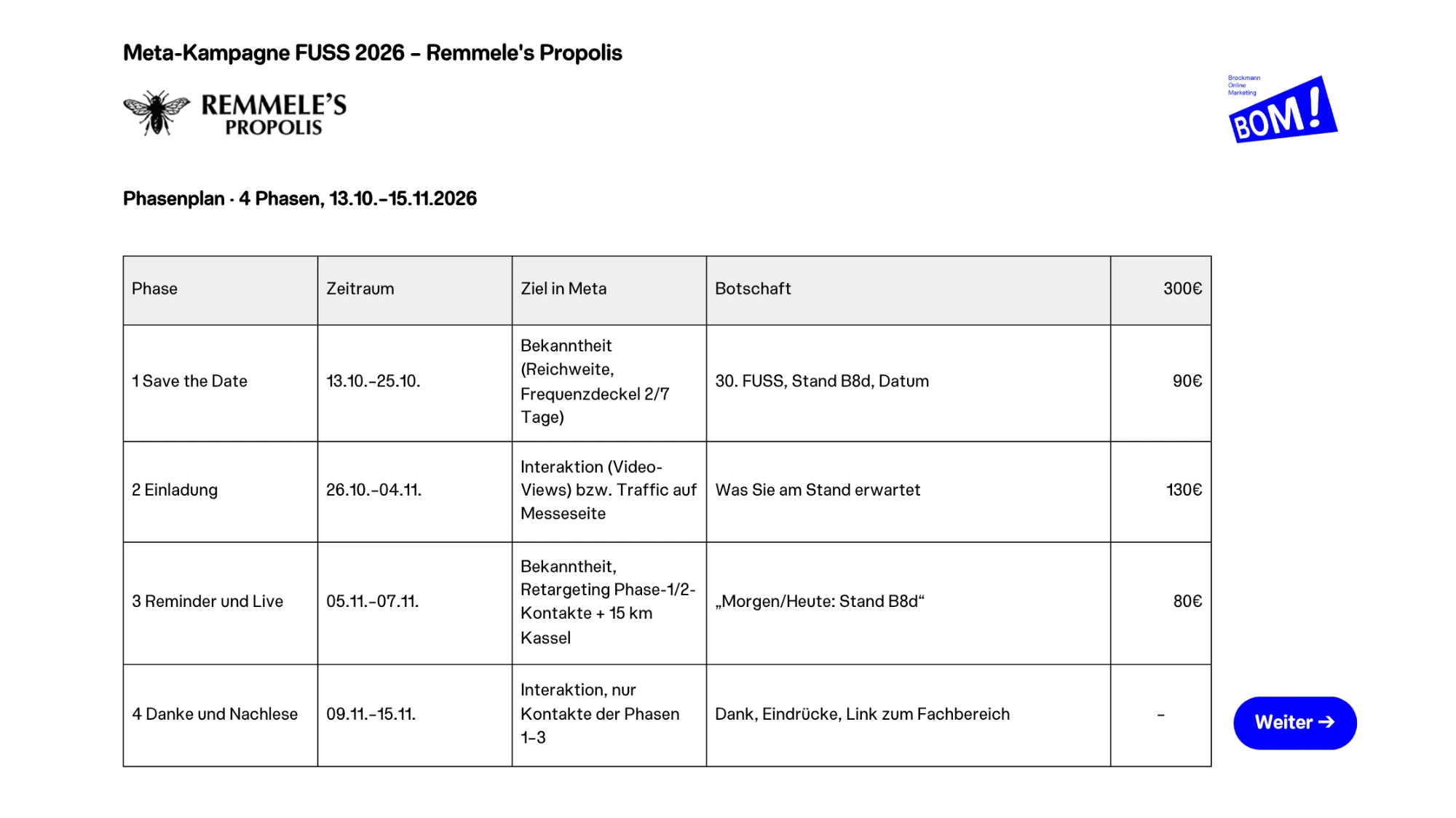 Folie 3 – Phasenplan